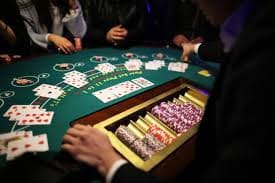 333bet4